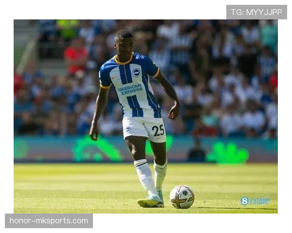 布莱顿未来规划聚焦青训体系与可持续引援策略 布莱顿未来规划聚焦青训体系与可持续引援策略