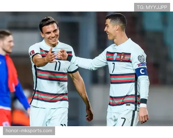 帕利尼亚与罗德里:防守型后腰与控场型后腰对比分析