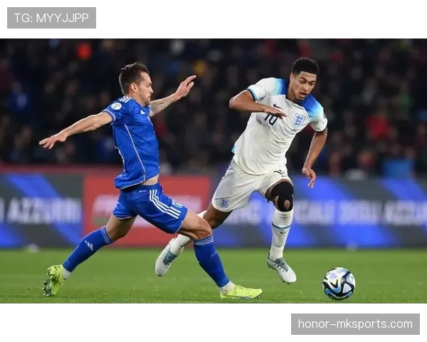 帕利尼亚 vs 赖斯:覆盖能力与全面性对比分析