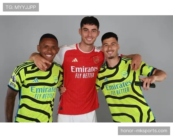 帕利尼亚 vs 赖斯：覆盖能力与全面性的对比