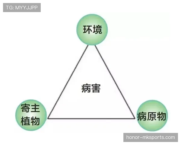 曼联复兴进程仍未完成：具体影响因素与长期挑战解析